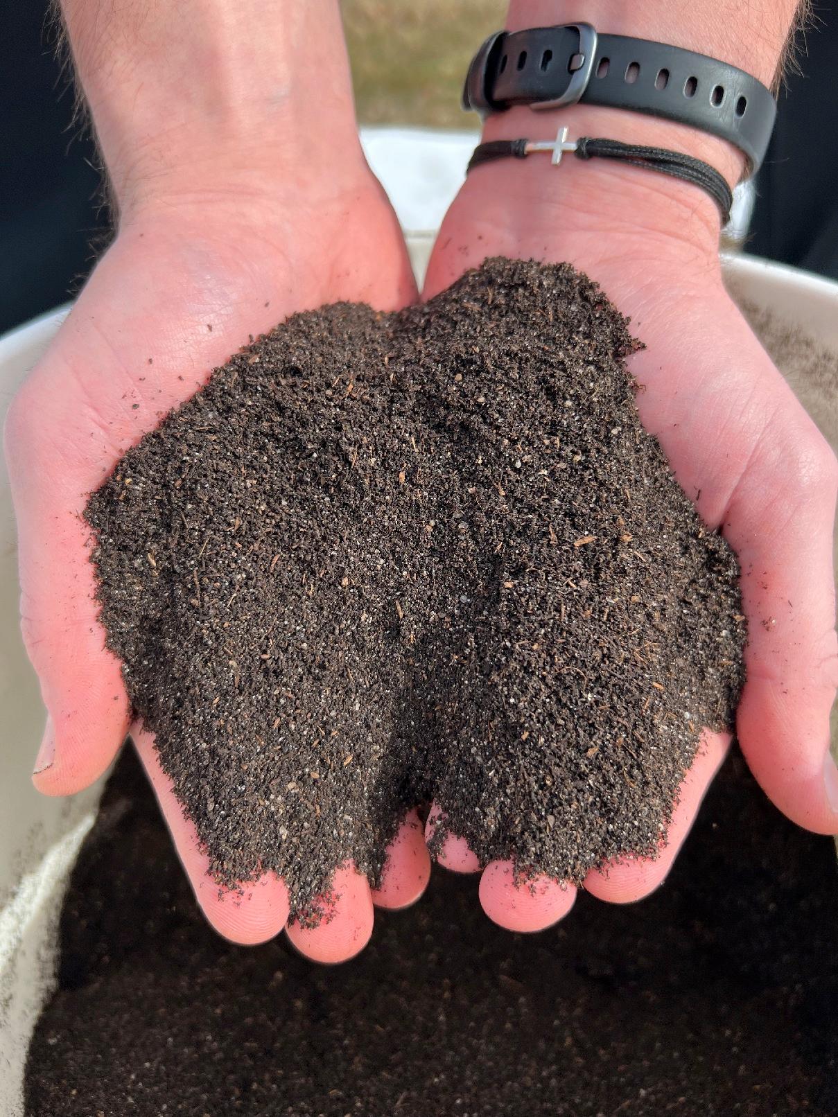 Worm castings held in two hands
